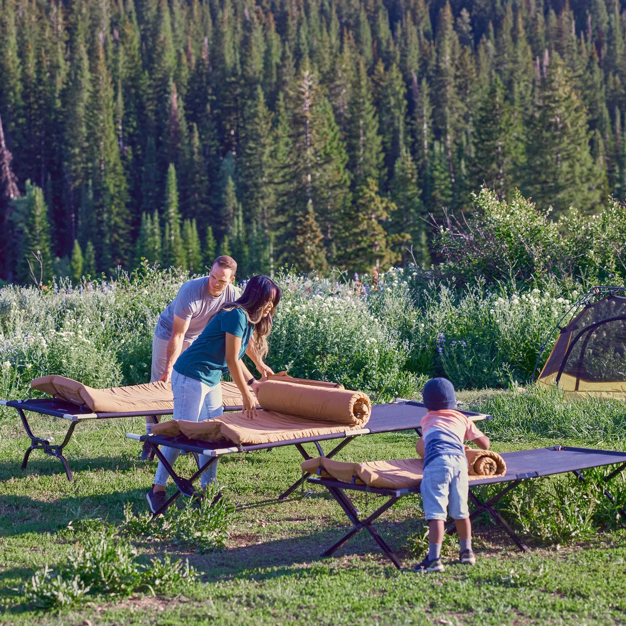 Adventurer Regular Camp Cot with Pivot Arm