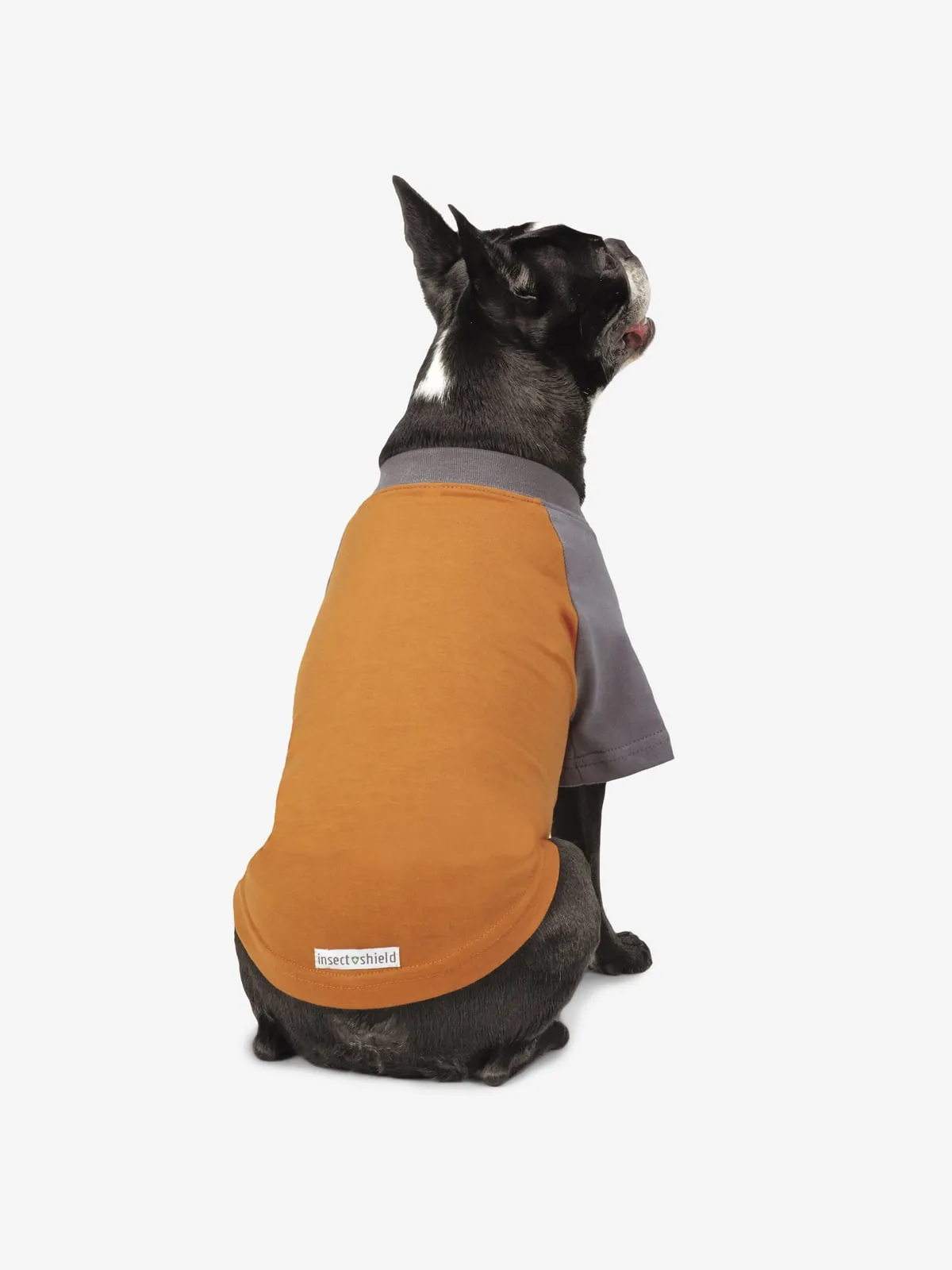 Insect Shield Premium Dog Tee